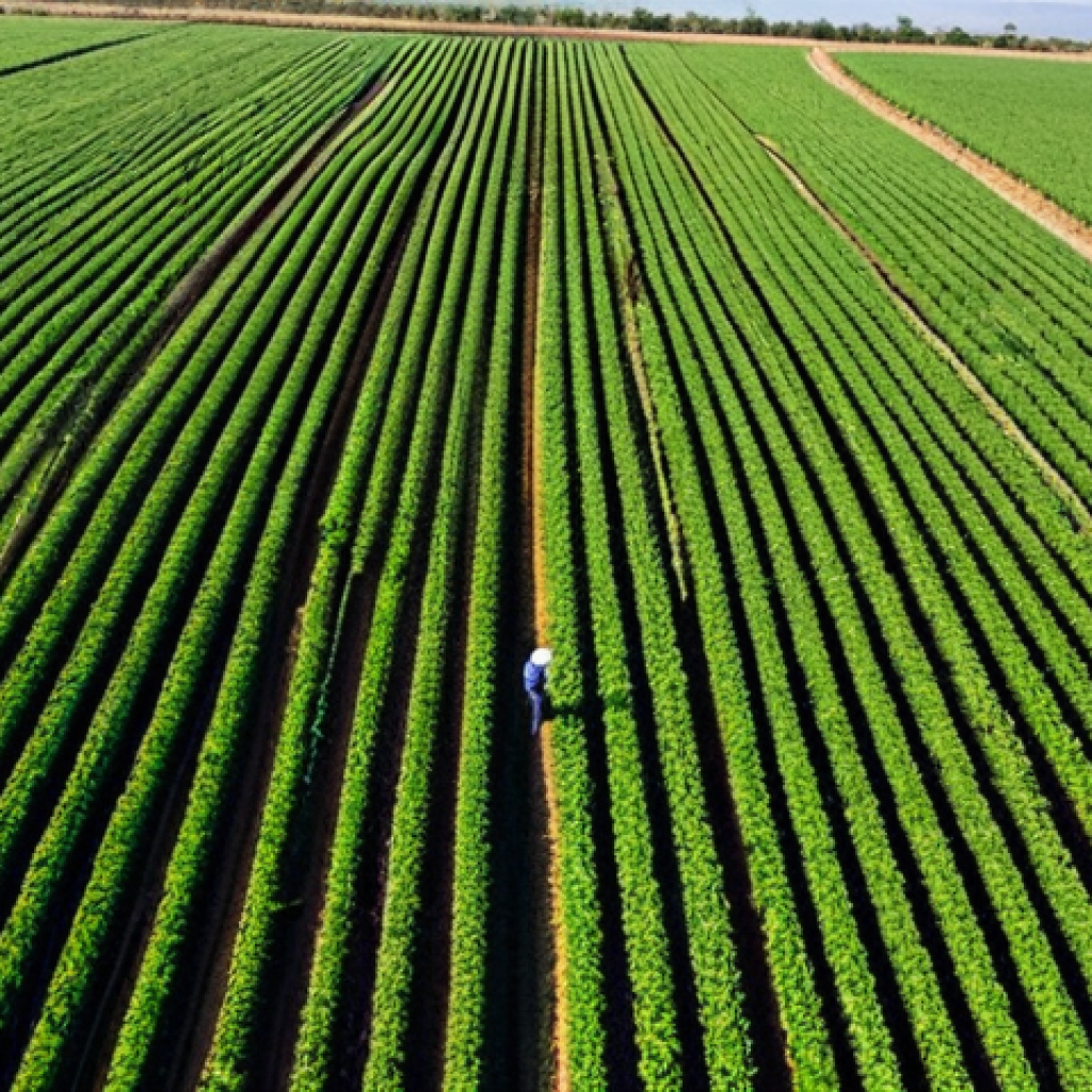 농업환경기술자 업무 개선 사례 - **Prompt:** Aerial view of a lush, green agricultural field in Almer&iacute;a, Spain, equipped with drip ir...