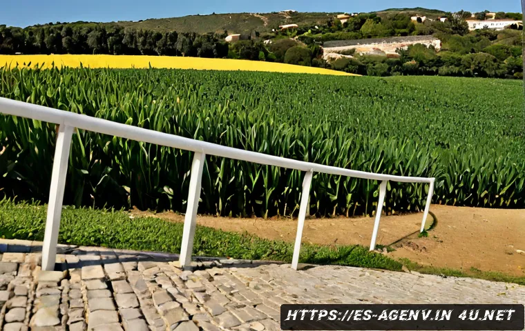 Cómo conectar una cualificación agroambiental con empresas: requisitos, casos de aplicación y criterios para elegir formación 4 농업환경기술자 자격증과 기업 연계 사례 관련 이미지 2